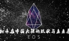 虚拟币在中国大陆的现状与未来展望
