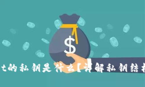 : TPWallet的私钥是什么?详解私钥结构与安全性