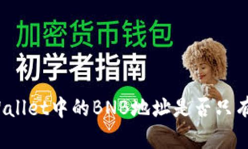 : TPWallet中的BNB地址是否只有一个?