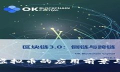 Starlink虚拟币的应用前景与发展趋势
