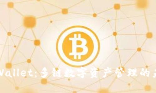 TPWallet:多链数字资产管理的未来