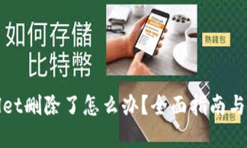 : TPWallet删除了怎么办?全面指南与解决方案