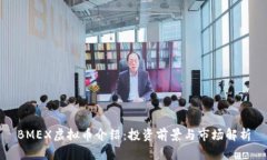 BMEX虚拟币介绍：投资前景与市场解析
