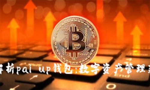 全面解析pai up钱包:数字资产管理新选择