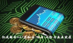 彻底解析HAT虚拟币：潜力、风险与未来