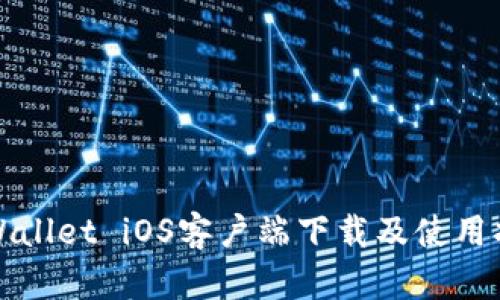 TPWallet iOS客户端下载及使用指南