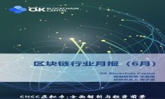 CNCC虚拟币：全面解析与投资前景