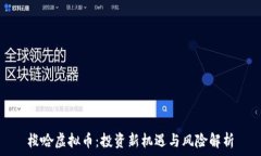   梭哈虚拟币：投资新机遇与风险解析