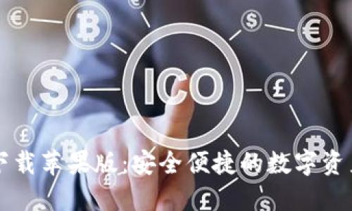 TPWallet下载苹果版:安全便捷的数字资产管理工具
