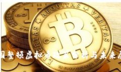 全国整顿虚拟币政策分析与未来展望
