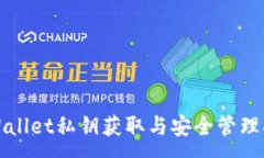 :TPWallet私钥获取与安全管理指南