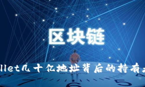 TPWallet几十亿地址背后的持有者分析