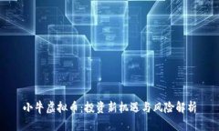 小牛虚拟币：投资新机遇与风险解析