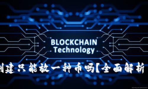 TPWallet创建只能放一种币吗?全面解析多币种支持