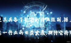 虚拟币属于什么级别行业在当今快速发