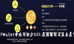 TPWallet中为何缺少BSV：原因解析与未来