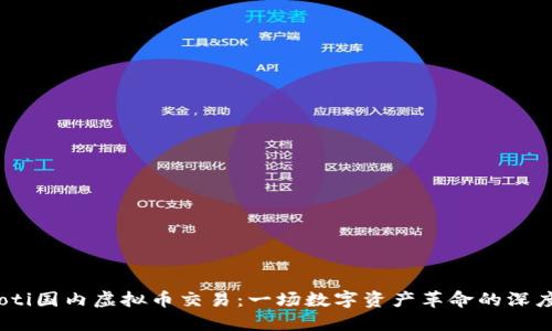 bianoti国内虚拟币交易:一场数字资产革命的深度探讨
