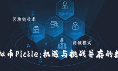 探索虚拟币Pickle：机遇与挑战并存的数