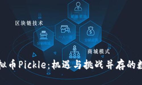 探索虚拟币Pickle：机遇与挑战并存的数字资产