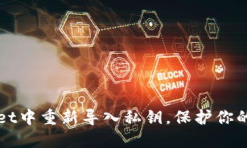 如何在TPWallet中重新导入私钥,保护你的数字资产安全