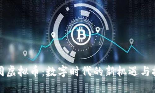 大同虚拟币:数字时代的新机遇与挑战