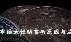 虚拟币市场大幅动荡的原因与应对策略